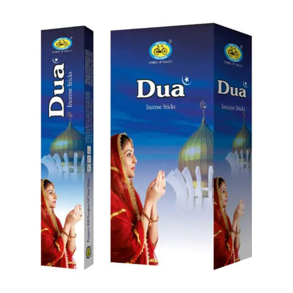 CYCLE DUA - RECT 15- 24 DOZ