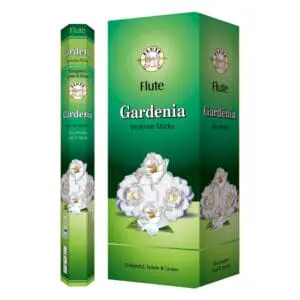 FLUTE GARDENIA HEXA-20